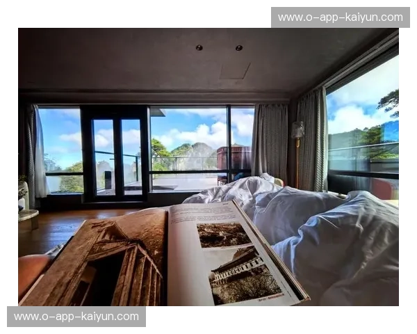 开云体验：开启奢华之门的未来之窗